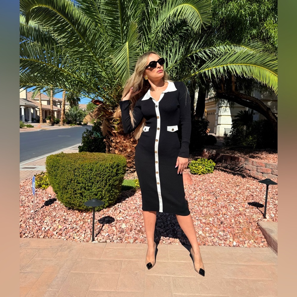 227 ‘Alex’ Elegant Black and White Button-Down Dress - Picture 3 of 9